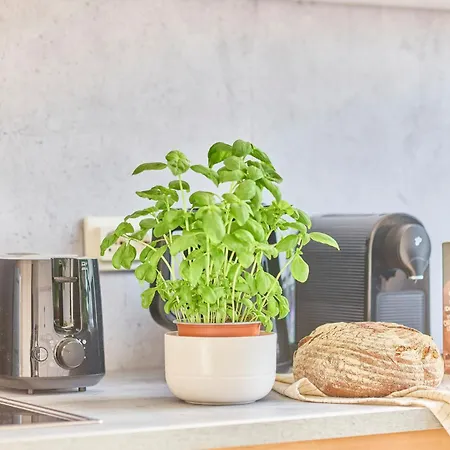 Mira - Stillvolle Im Zentrum Von *